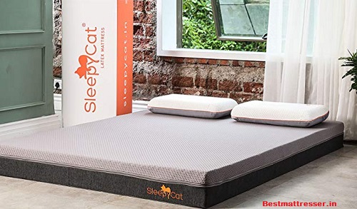 Sleepycat Mattress Review of 2024 - Expert Review