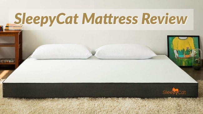 Sleepycat mattress review