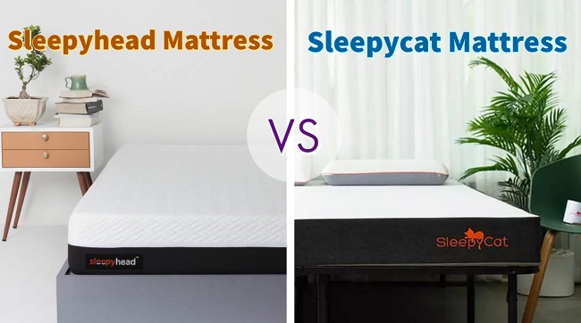 Sleepyhead vs sleepycat mattress