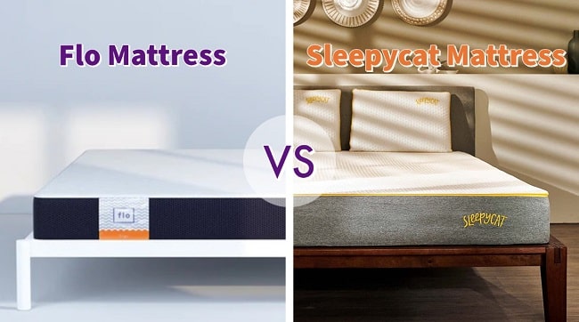 Flo Mattress vs Sleepycat Mattress Detailed Comparison | Which is Better?