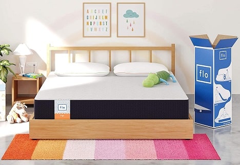 Flo Mattress vs Sleepwell Mattress Comparison