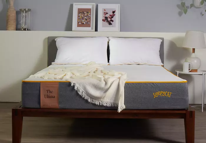 Sleepycat Latex Mattress Review: Is It Comfortable and Durable?