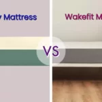 Sunday vs Wakefit Mattress comparison