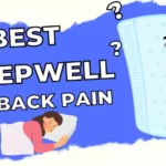 best sleepwell mattress for back pain in india