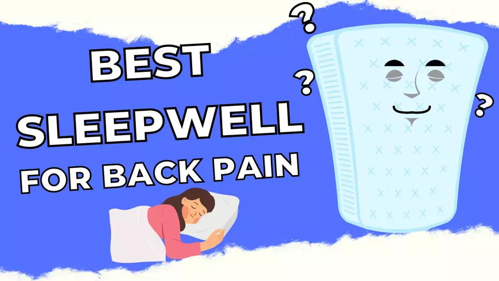 best sleepwell mattress for back pain in india