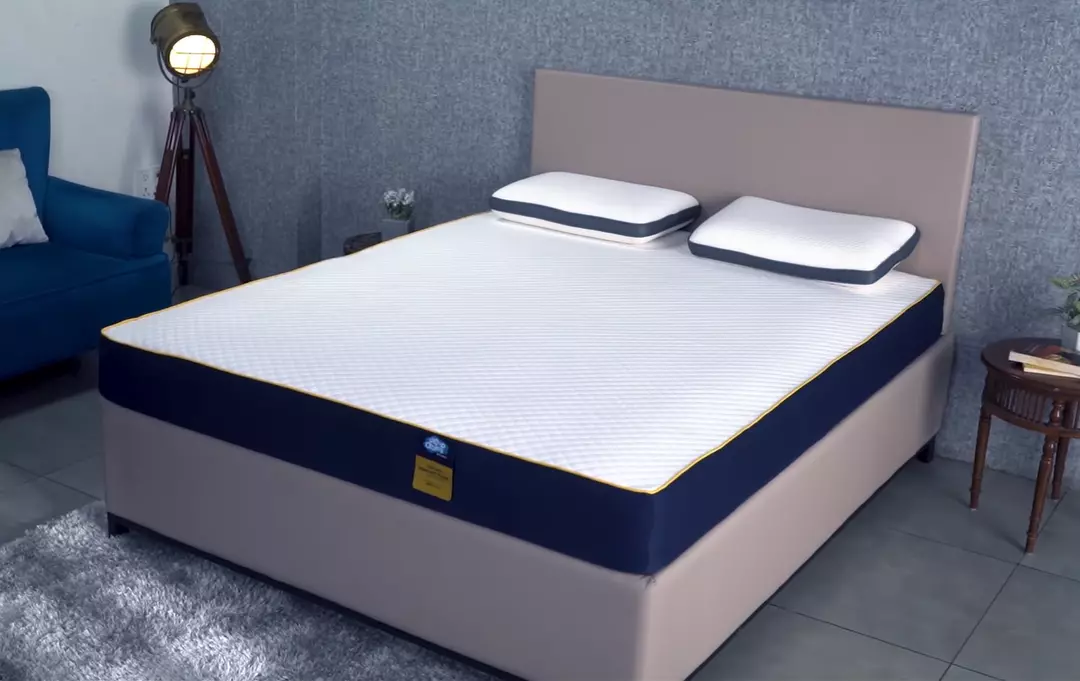 Centuary Vs Sleepwell Mattress Comparison | Which is Better?