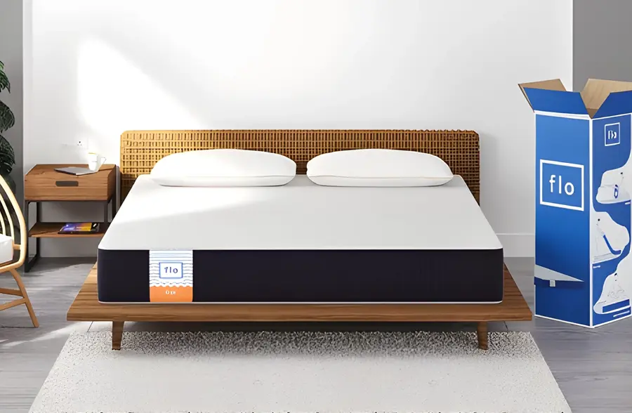 Flo ergo mattress review