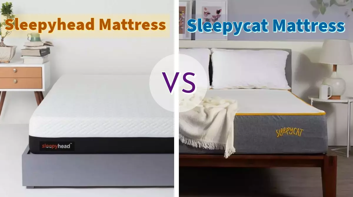 Sleepyhead vs Sleepycat mattress